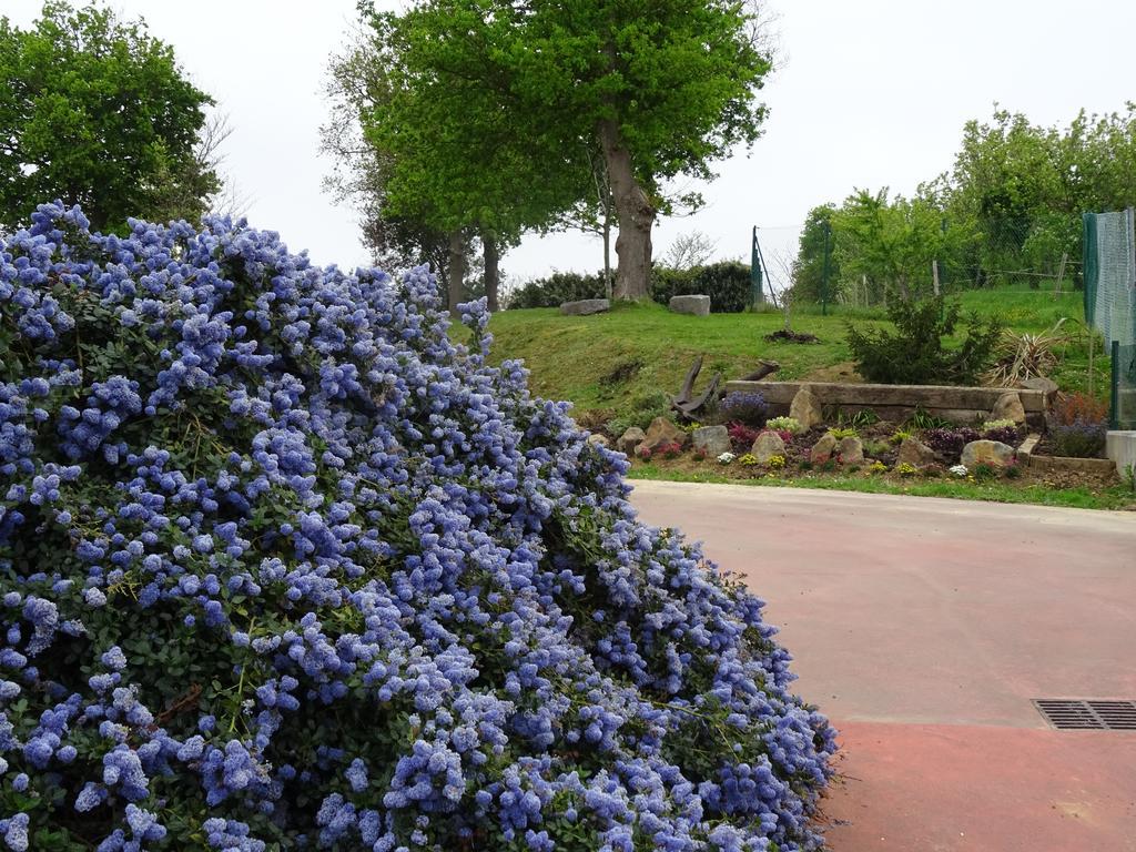 Camping & Bungalows Leagi Mendexa Kültér fotó